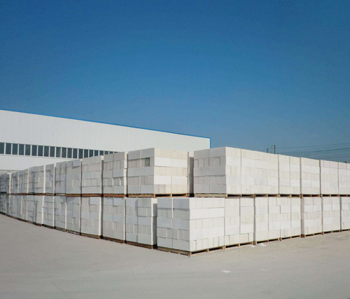 91视频免费试看