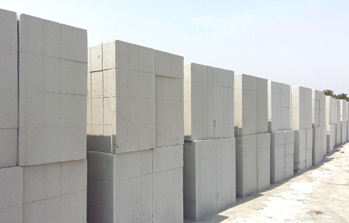 91视频免费试看